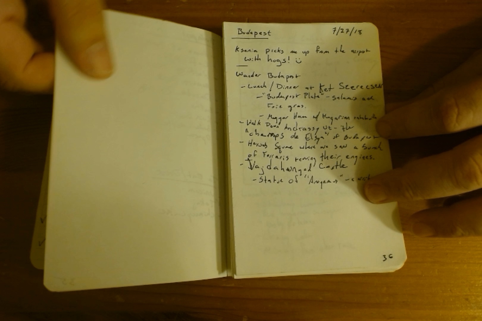 Notebook page 36, 2018-07-27