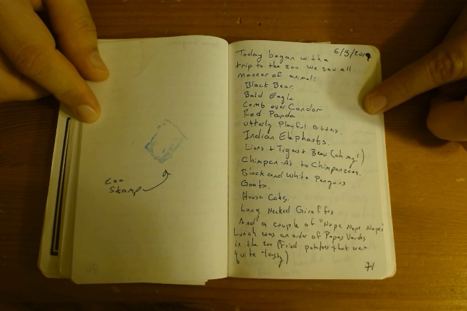 Notebook page 71, 2019-06-03