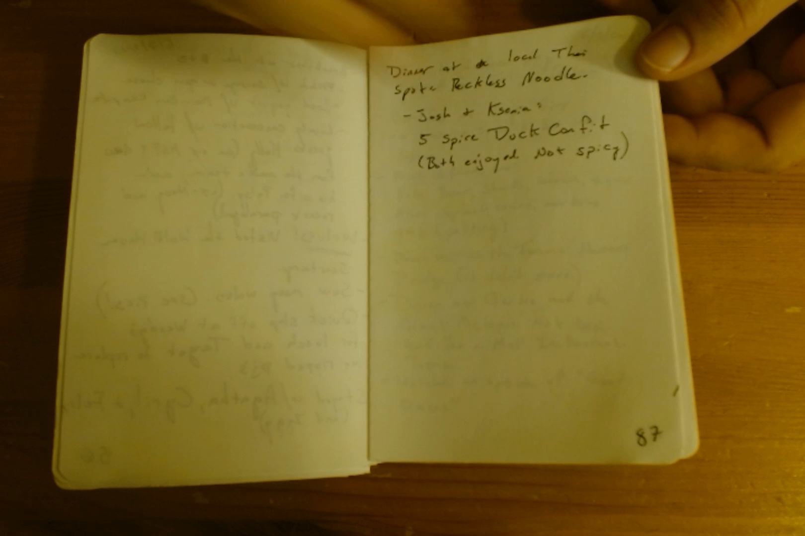 Notebook page 87, 2019-06-07