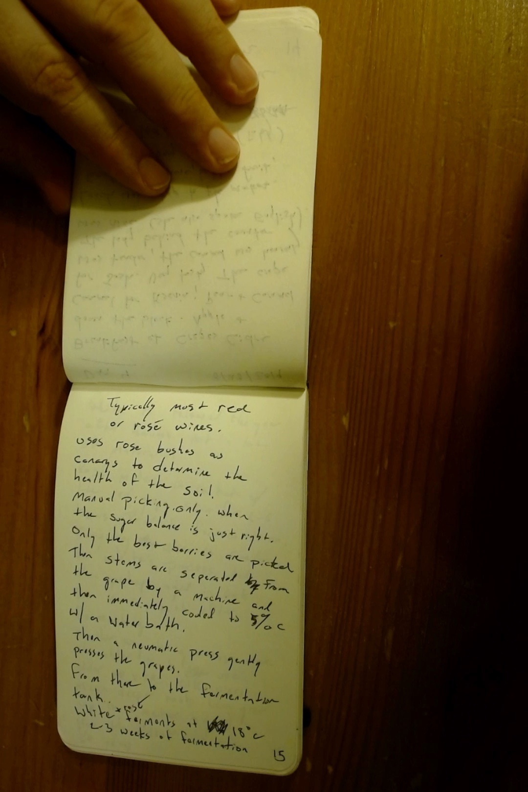 Notebook page 15, August 28, 2019
