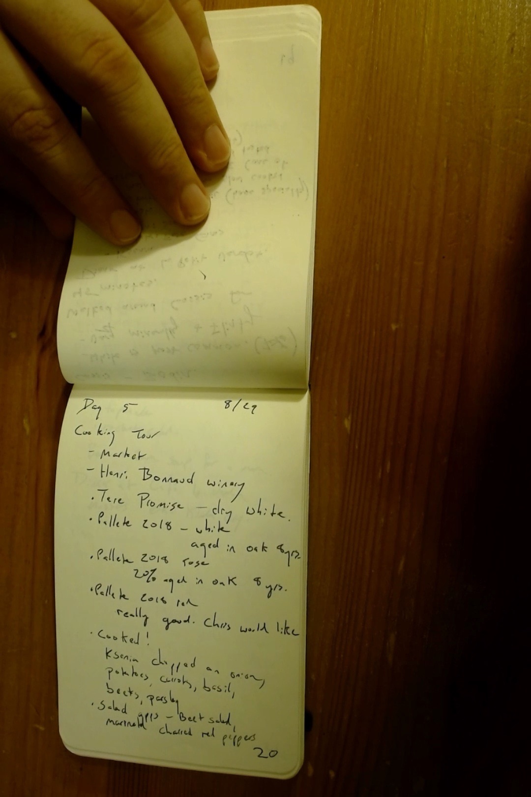 Notebook page 20, 2019-08-29