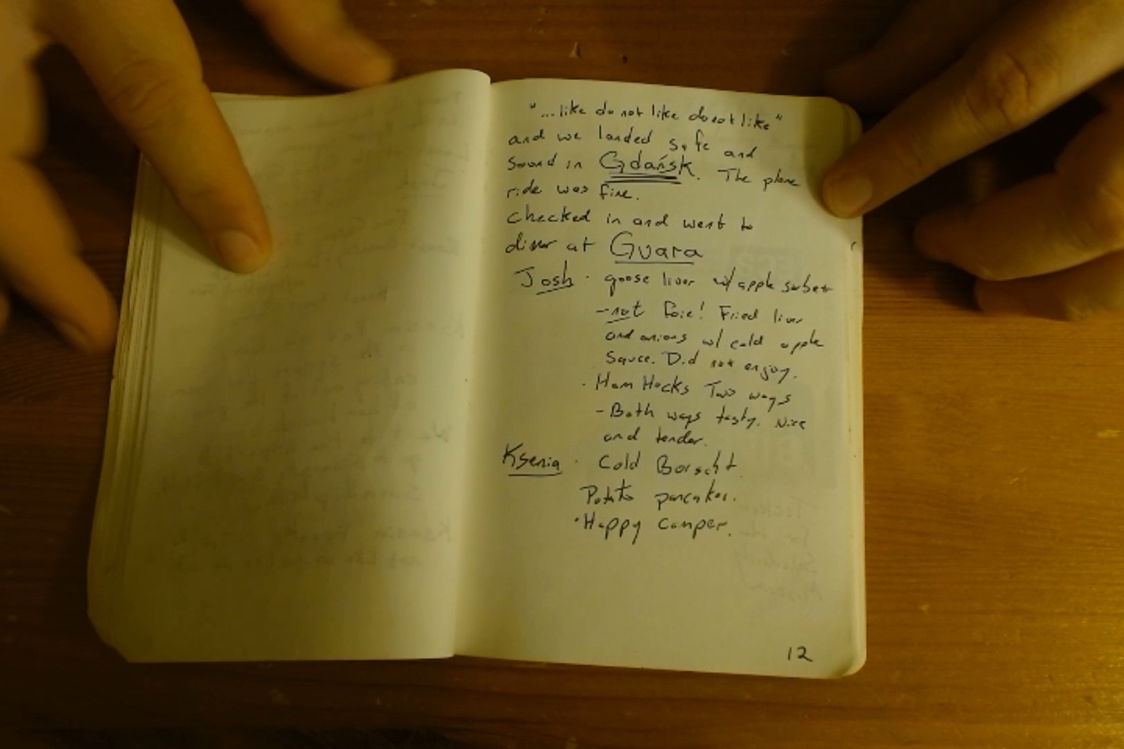 Poland 2017 notebook, page 12