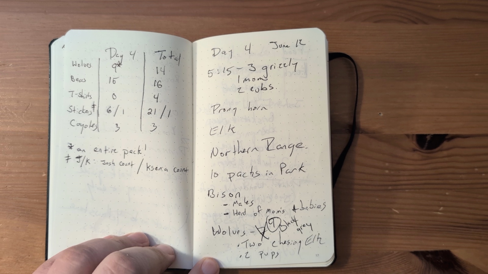 Notebook pages 16–17, June 12, 2024