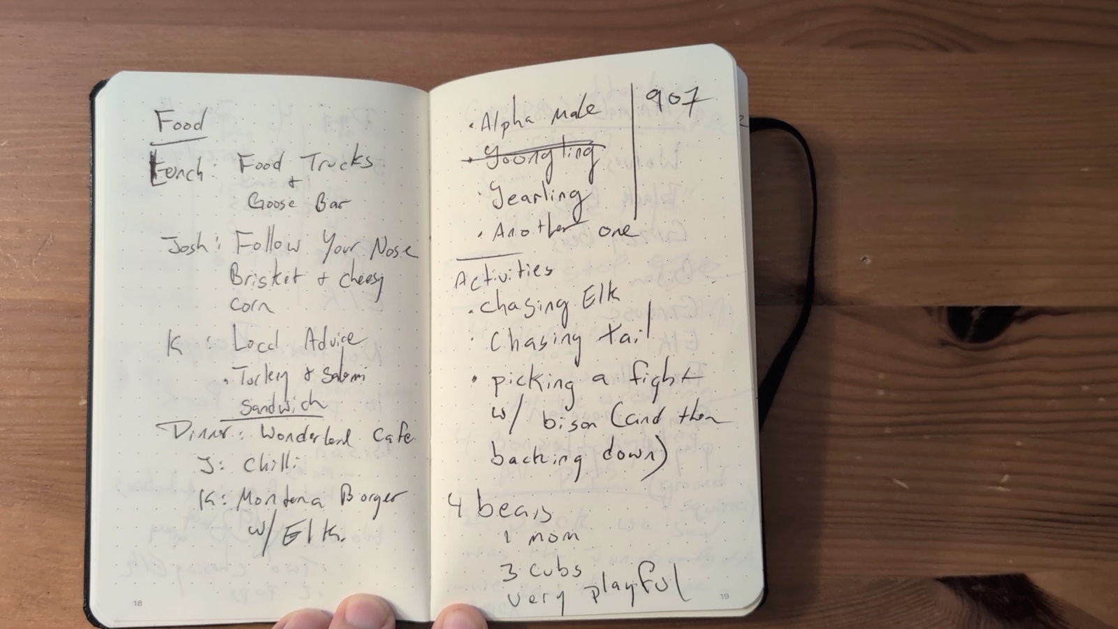 Notebook pages 18–19, June 12, 2024