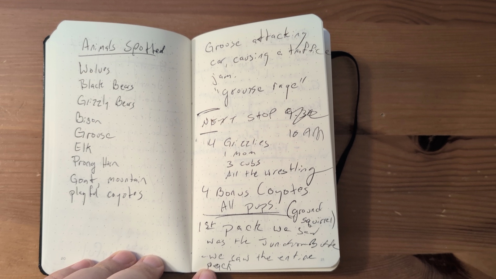 Notebook pages 20–21, June 12, 2024