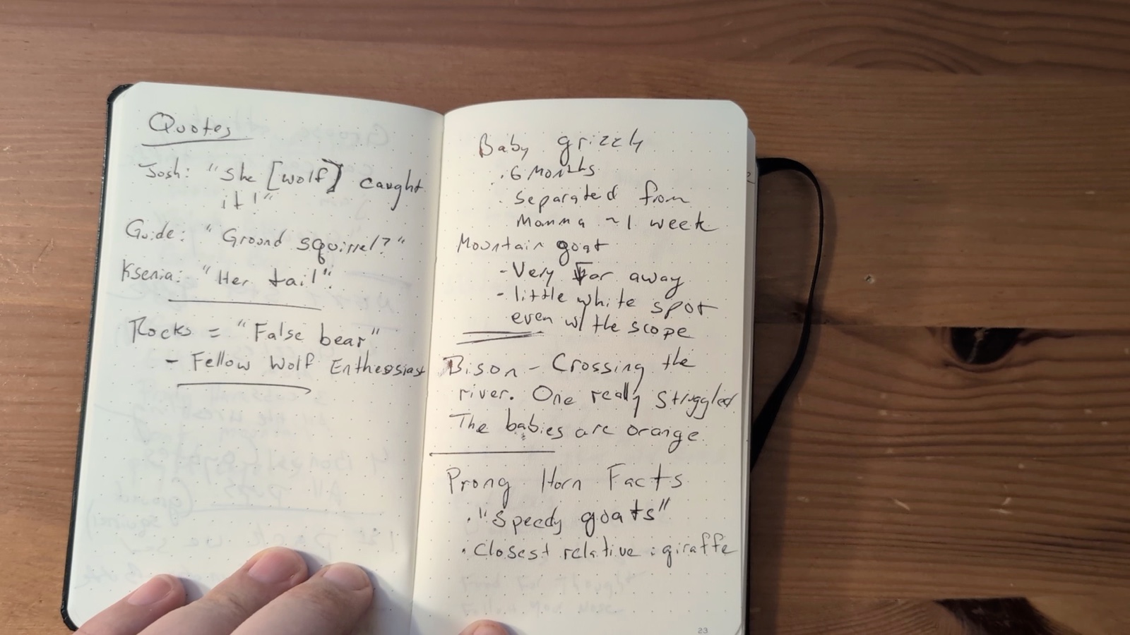Notebook pages 22–23, June 12, 2024