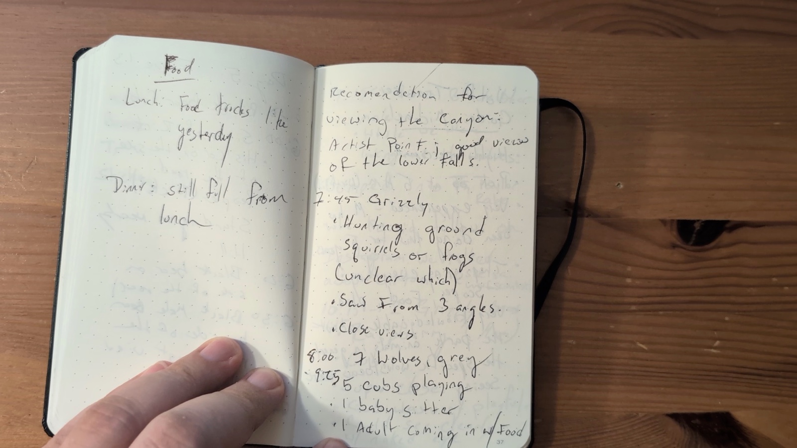 Notebook pages 36–37, June 13, 2024