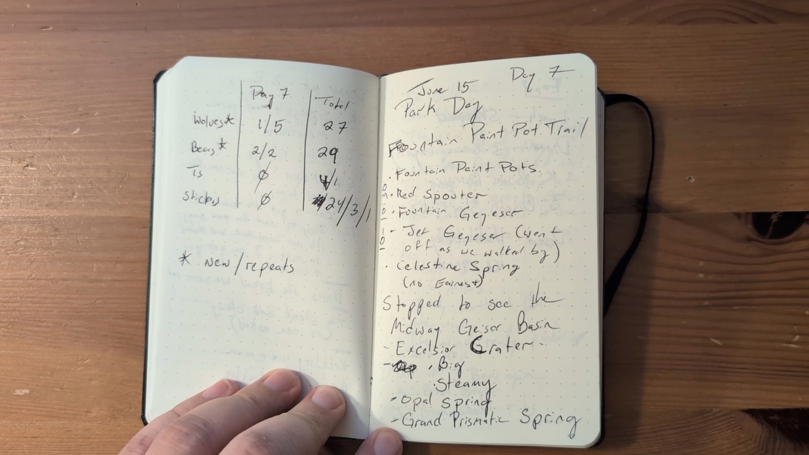 Notebook pages 48–49, June 15, 2024