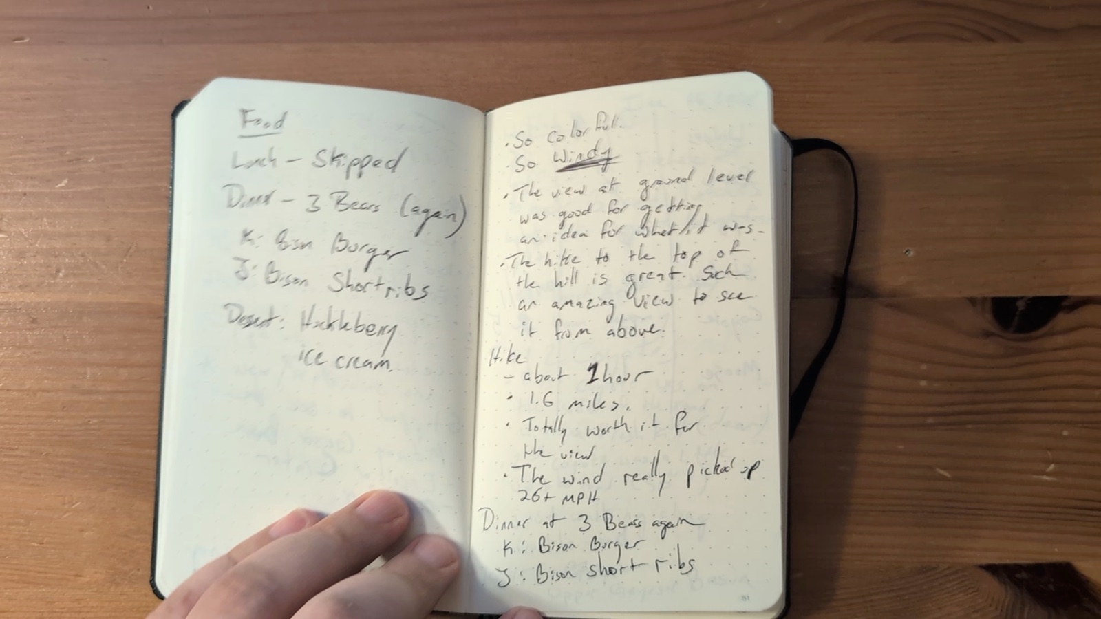 Notebook pages 50–51, June 15, 2024